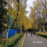 静静得在这迷人の校园走上一圈,真的是心旷神怡啊