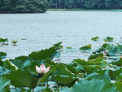 -东湖生态旅游风景区