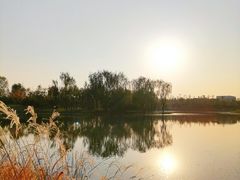 -东郊湿地公园
