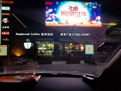 -中国石化江苏高速石油郭村服务区加油站