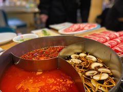 -青瓷火锅料理(西单大悦城店)