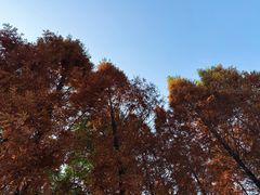 -白鹭湾湿地公园