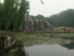 -微山湖红荷湿地景区
