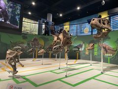 -国家自然博物馆