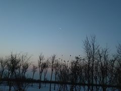 -东堤公园
