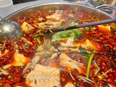 -蛙蛙鸡冷锅鱼(驷马桥店)