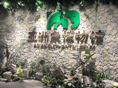 -野象谷景区