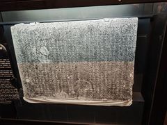 -温州博物馆