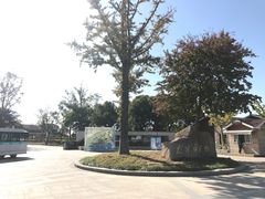 -新木器时代餐厅(太湖新天地店)