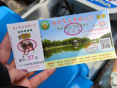 -广东茂名森林公园