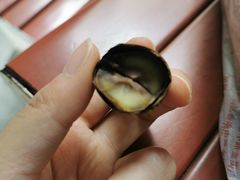 -傻二甘栗糖球