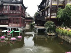 -豫园湖心亭茶楼