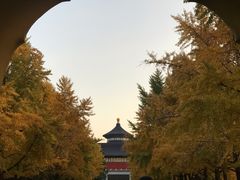 -格格酥(大栅栏西街商业店)