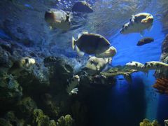 -福州罗源湾海洋世界旅游区