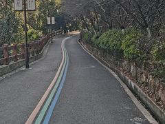 -杭州半山国家森林公园