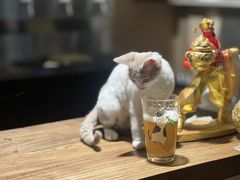 -后院儿·精酿·塔罗Happy Bar