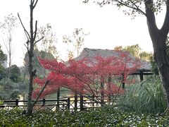 -澹台湖公园