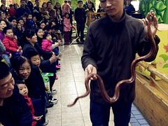iphone_upload_pic-上海大自然野生昆虫馆