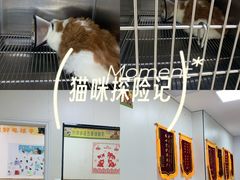 -瑞派新吉太郎宠物医院·重症转诊中心·泌尿道(嘉禾望岗院)