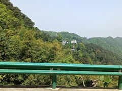 -南山植物园