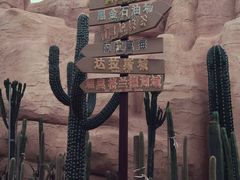 -鼎龙湾德萨斯水世界