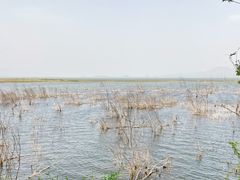 -野鸭湖国家湿地公园