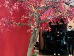 -新白鹿餐厅(银泰西湖文化广场店)