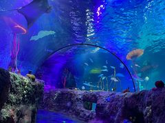 -沈阳海洋探索中心