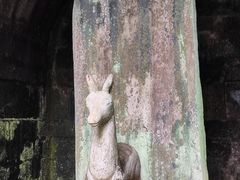 -白鹿洞书院