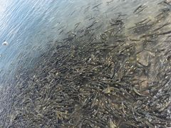 -青海湖二郎剑景区
