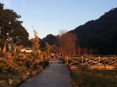 -广州市石门国家森林公园