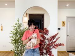 柴犬小屋·撸柴体验-柴犬小屋·柴餐厅·狗咖食堂(金鼎广场店)