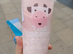 酸奶梅梅多-一只酸奶牛(时代天街A馆店)