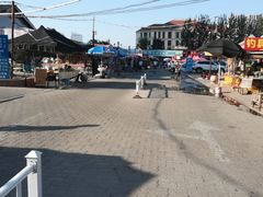 -长宁东道花卉宠物市场