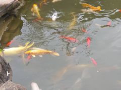 -安仁古镇