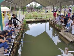 -田园东方蜜桃村的田野营地