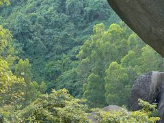 -火炉山森林公园