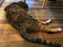 店内环境-猫的天空之城概念书店(杭州南宋御街店)