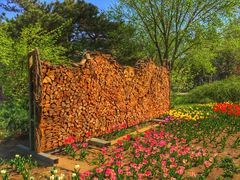 -国家植物园南园