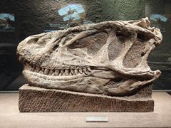 -自贡恐龙博物馆