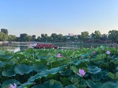 -小王府(什刹海店)