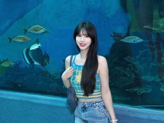 -合肥海洋世界