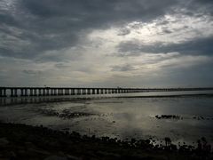 -宝安西湾红树林湿地公园