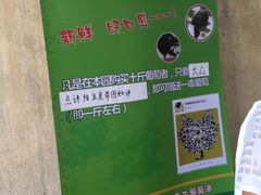 -马陆小张葡萄园农家乐