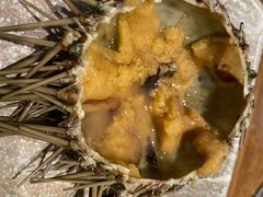海胆-阳光岛·海鲜盛宴(银泰中心in99店)