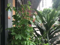 -滇咖啡体验店