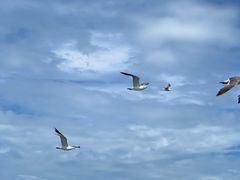 -海驴岛(荣成市)