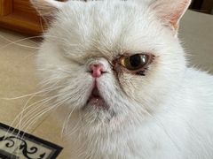 -宠颐生汉谟拉比宠物医院