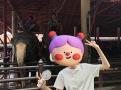 -东芭乐园