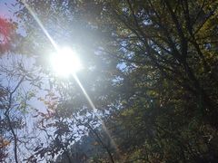 -敬亭山风景名胜区